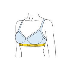 How to Measure Bra Size